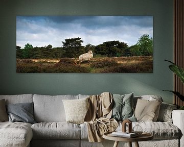 Het schaap en zijn lam | Groote Zand van Ricardo Bouman