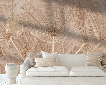 Panorama from the inside of a morning star by Marjolijn van den Berg