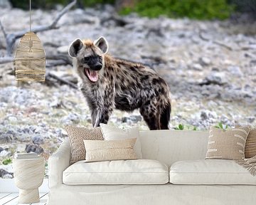 Hyena, foto uit Afrika van Florence Schmit