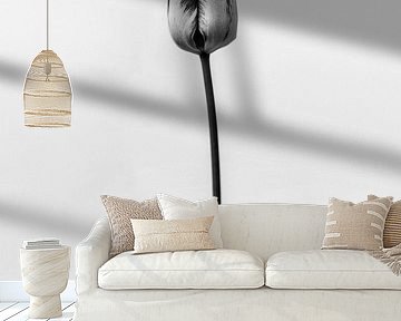 Amid the Flowers 12 by Teis Albers