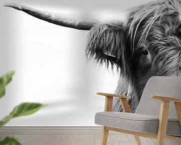 Half portrait of Scottish highlander bull in black and white by KB Design & Photography (Karen Brouwer)