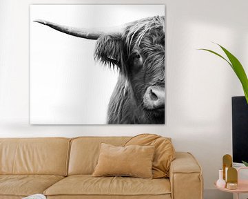 Demi-portrait d'un taureau écossais Highlander en noir et blanc sur KB Design & Photography (Karen Brouwer)