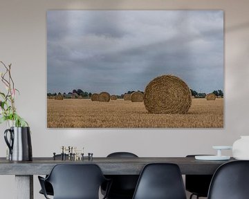 Straw rolls in a Dutch field by Ans Bastiaanssen