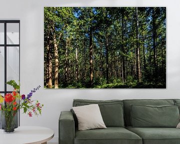 Trees,Trees,Trees and Trees.