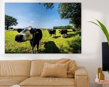 Nieuwsgierige koe in het Hollandse Landschap van Brian Morgan