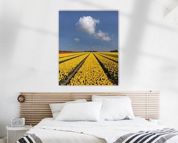 Champ de tulipes avec des nuages sur Sander Groenendijk