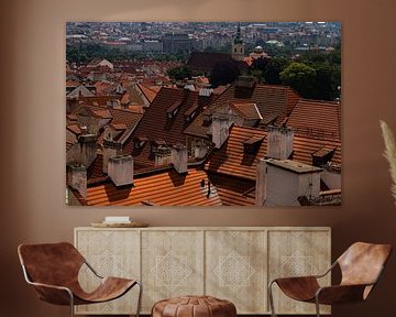 Roofs in Prague by Nynke Altenburg