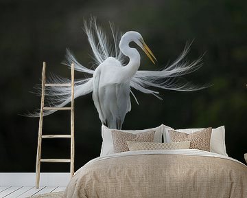 The heron in the white dress by Kevin Hernandez