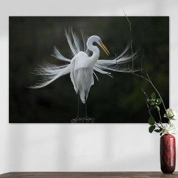 The heron in the white dress by Kevin Hernandez