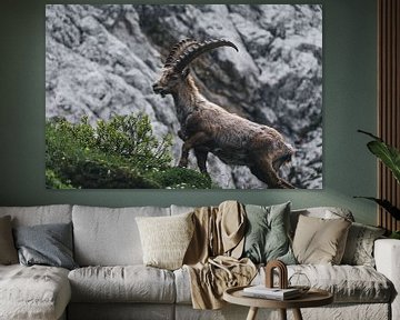 Capricorn in the mountains of Slovenia by Lone Drifters