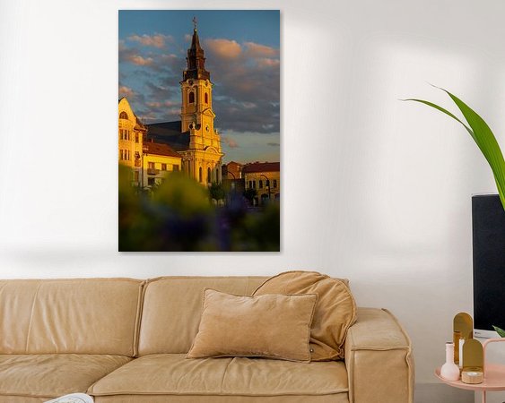 Aperçu de la chambre