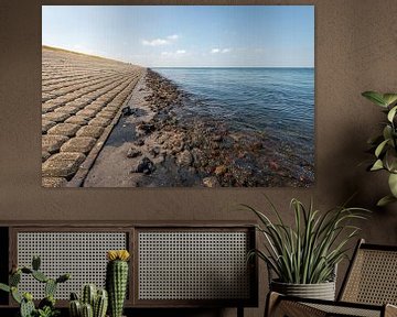 Dike protection at the edge of an estuary by Ruud Morijn