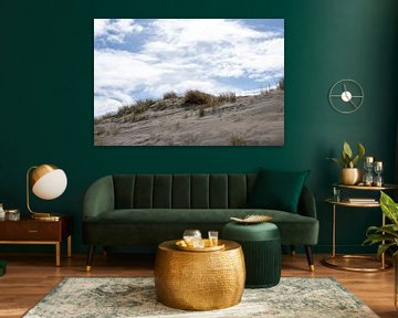 Duinen bij het strand van s'-Gravenzande