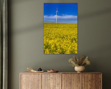 Windturbine in een geel koolzaadveld met een blauwe lucht