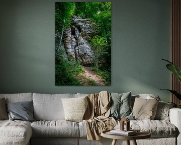 Rock party in forest near Mullerthal resembling skull by Joost Adriaanse