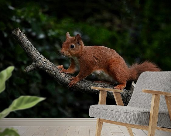 Aperçu de la chambre