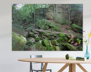 Felsen in Mullerthal, Luxemburg von Kees van Dun