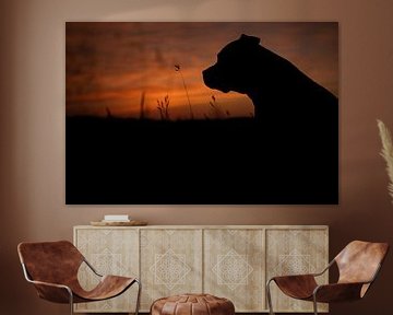 Silhouette van een hond van Elma Nengerman