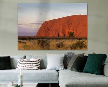 Uluru van Jan Schuler