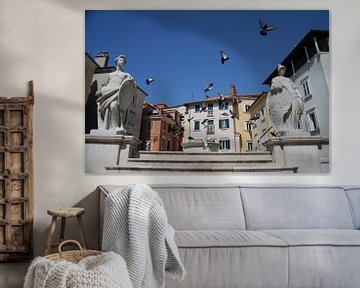 Piran pigeons van BL Photography