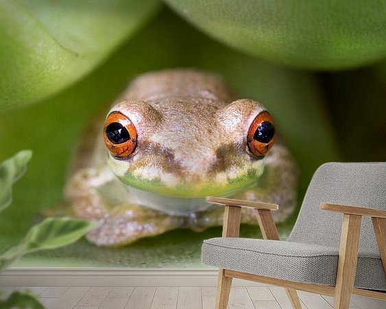 Raumvorschau