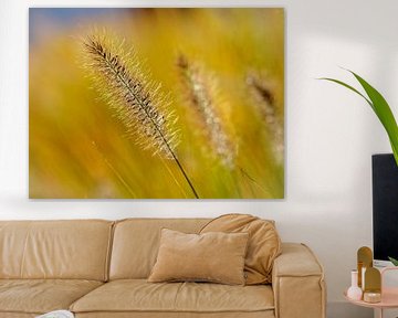 Flowering Grass Palm by Rob Boon