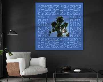 Platanus double blue 1 by Esther van de Beek