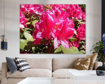 Fel roze bloemen / Pretty pink flowers van Fleur Ruygh