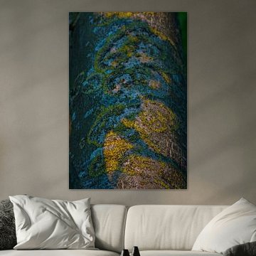 You can climb the tree