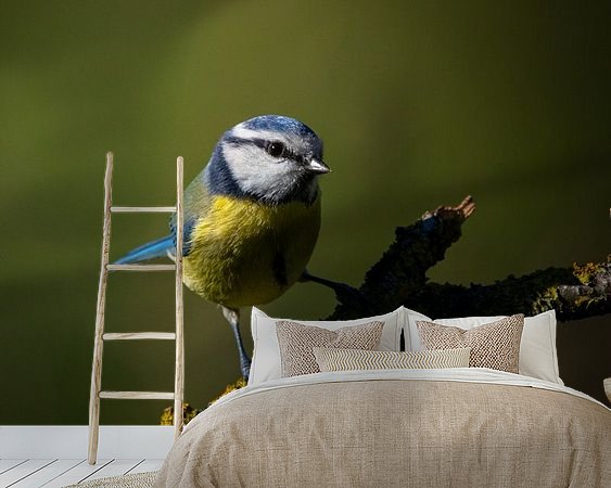 Aperçu de la chambre