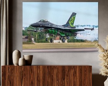 F-16 Demo Team Belgische Luftwaffe: Die Traum-Viper. von Jaap van den Berg
