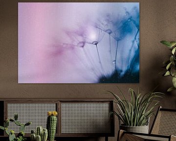 Paardenbloem pluis droomwereld van Hilde Remerie Photography and digital art