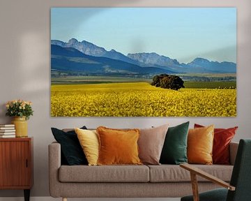 Rape fields and mountains by Werner Lehmann