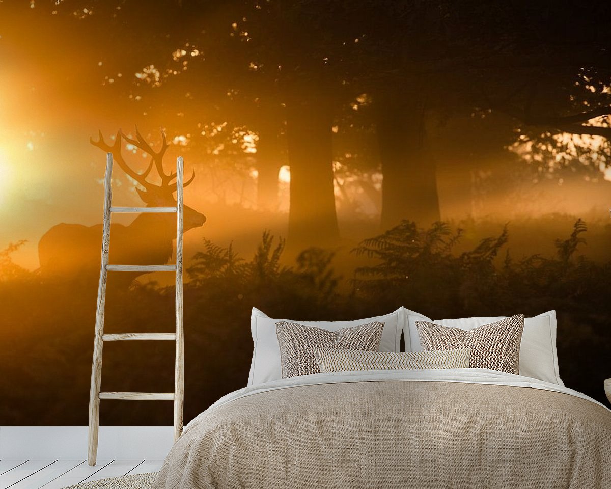 Raumvorschau