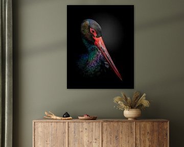 The Black Stork, fegari  by 1x