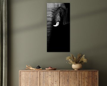 Olifantenportret, WildPhotoArt  van 1x