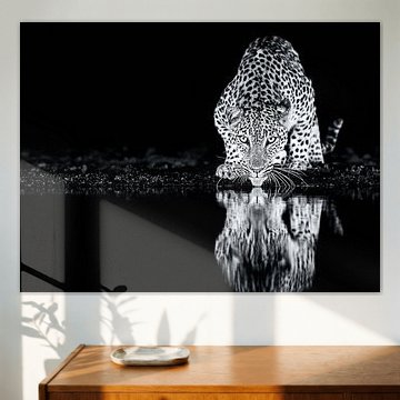 Ohne Titel von Amnon Eichelberg