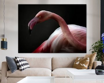 Flamingo portret, Santiago Pascual Buye van 1x