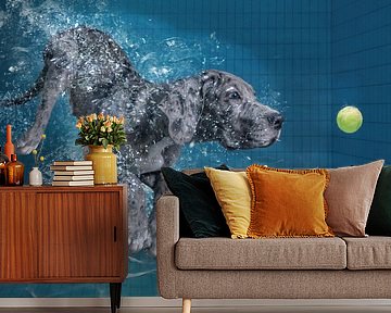 SplashDog van Marcel Egger