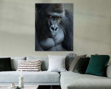 Ongelukkige gorilla, Bill Mugg