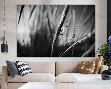 Alone in a big world.