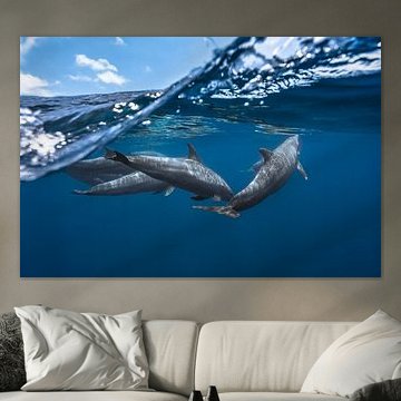 Delphine von Barathieu Gabriel