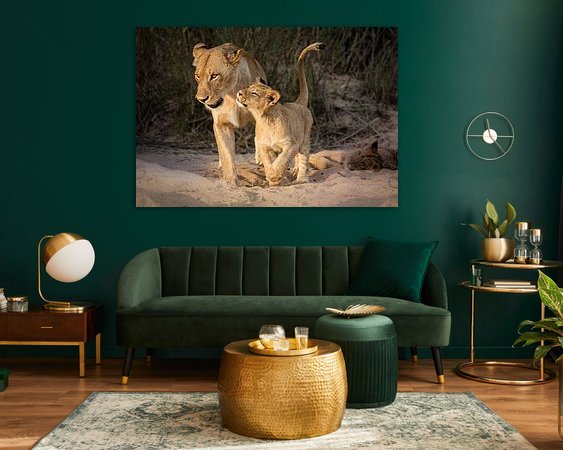 Aperçu de la chambre