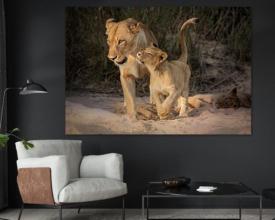 Aperçu de la chambre