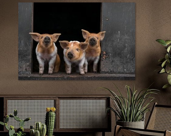 Aperçu de la chambre