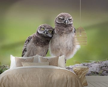 Friends by Greg Barsh