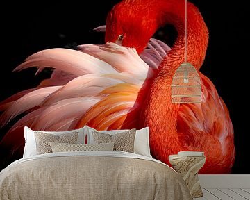 flamingo, Makoto Nishikura van 1x