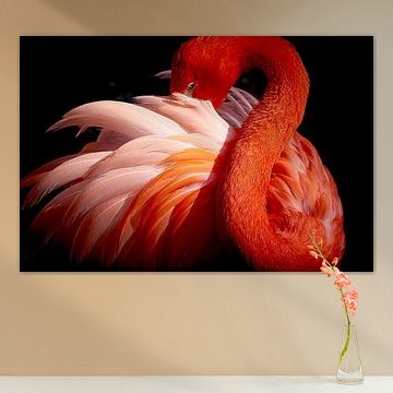 Flamingo von Makoto Nishikura