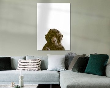 De hond, 1x Studio II van 1x