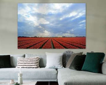 Bollenveld met rode tulpen van Michel van Kooten
